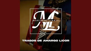 Tragos de Amargo Licor [upl. by Nnylcaj794]