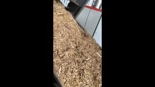 wood pellet machine making wood pellets from sawdust [upl. by Abby629]