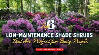 Top 6 LowMaintenance Shade Shrubs That Are Perfect for Busy People 🌷🍃🌹  Gardening Ideas [upl. by Anorahs39]