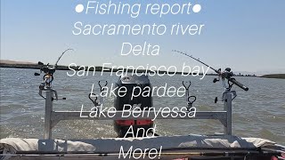 Fishing Report Sacramento Riverwhats biting amp where fishing [upl. by Bolt]