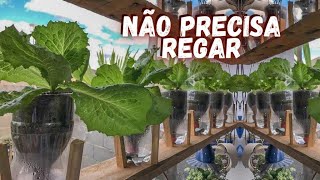 ALFACE ORGÂNICA TODO DIA EM CASA NA GARRAFA PET FÁCIL FÁCIL  COMO PLANTAR ALFACE [upl. by Dahs]