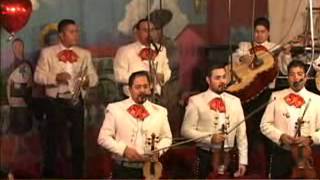 Traditional Mariachi Band [upl. by Megen]