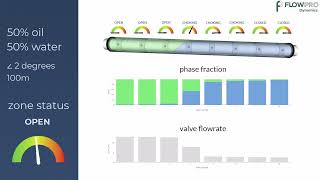 Insight Multiphase Near Wellbore Simulator  AICV [upl. by Esinehs583]