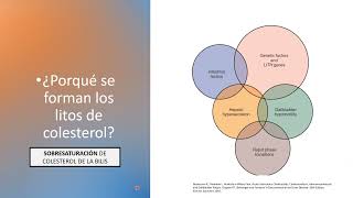 Colelitiasis Coledocolitiasis Colangitis Colecistitis [upl. by Guenevere590]