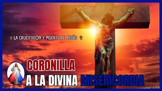 🕊️ Coronilla ala Divina Misericordia ❤️ Vayamos Con Alegría Al Encuentro del Señor ✟ Oración [upl. by Kurtzig]