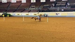 11224 AQHA SENIOR POLES Ryann’s deal Rande goetz 21299 4th [upl. by Joshua]