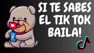 ❤️Si Te Sabes El Tiktok Baila 2024❤️ [upl. by Ytoc]