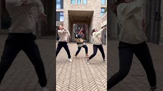 DRAKE  ONE DANCE FLAWLESS DANCE GROUP [upl. by Ellehciram]