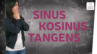 Die Winkelfunktionen Sinus Kosinus und Tangens I musstewissen Mathe [upl. by Eilsek8]