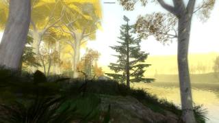 LOTRO Lothlorien  Golden Wood Impression [upl. by Hsemar]