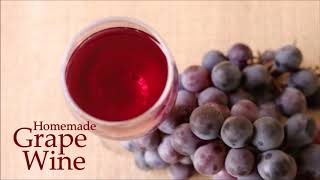 Homemade Grape Wine with fresh Grapes  Christmas Special Grape Wine Recipe [upl. by Notxed248]