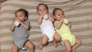 【三つ子】セルフ授乳とは？！ Triplets that drink milk by yourself [upl. by Fowler]