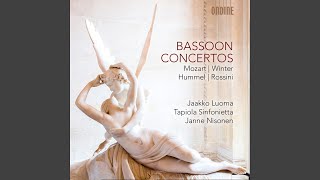 Bassoon Concerto III Rondo [upl. by Ezitram968]