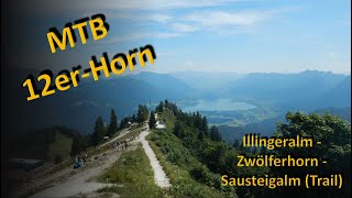 MTB Radtour Illingeralm  12erHorn  Sausteigalm [upl. by Ynos]