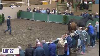 Cavan Equestrian Center Sale [upl. by Karyn886]