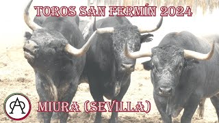 Toros 14 julio sanfermin2024 Miura Sevilla [upl. by Maupin24]