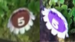 Pikmin 3  Purple and Brown Pellet Posy Glitch [upl. by Omor]