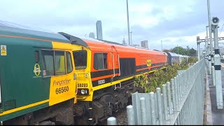 Freightliner class 66 and 59 double header at Acton main line [upl. by Bourgeois493]