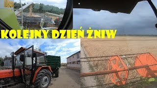 ☆Kolejny dzień żniw☆Cały dzień w Claasie☆Agro Dniówka 24㋡Agro Kuzyni㋡ [upl. by Ahsiak]