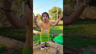 punjabi song trending viralvideo shorts varyaaarya vani [upl. by Leinod882]