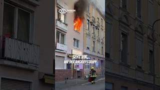 🪟Fensterimpuls 🔥 feuerwehr frankfurt fensterimpuls [upl. by Eiram692]