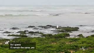 Sittin On the dock of the bay  Otis Redding lyrics and ocean view [upl. by Leanor]