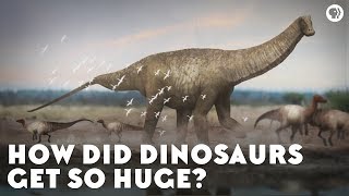 How Did Dinosaurs Get So Huge [upl. by Nisior219]