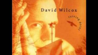 David Wilcox quotKindnessquot with lyrics [upl. by Auohp]