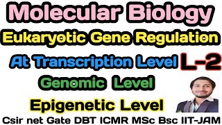 Eukaryotic Gene RegulationL2Regulation at Transcriptional or Genomic or Epigenetic levelcsirnet [upl. by Porty]