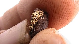 Metal Detecting for Gold Nuggets in WA 2014 pt 6 [upl. by Gizela]