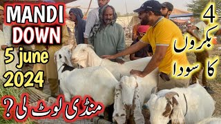 Live Deal in bakra mandi 2024 lahore  bakra mandi in pakistan 2024 [upl. by Roer]