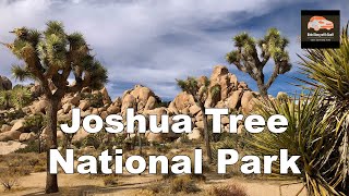 Escaping to the Serenity of Joshua Tree National Park [upl. by Ahtikal]