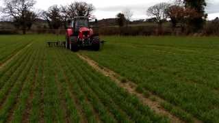 Hoeing Organic Winter Oats with Massey ferguson 6480 and Garford inter row hoe [upl. by Anitahs]