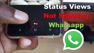 Status Views Not Showing Whatsapp Fix [upl. by Etteneg229]