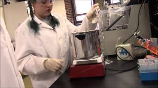 Enzymatic Hydrolysis Instructional Video [upl. by Ysnat934]