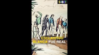 La verdad oculta tras la esclavitud blanca ⛓ historia [upl. by Kayle296]