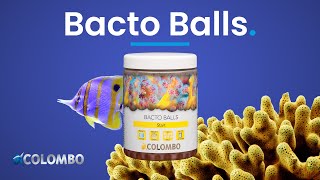 Colombo Marine Bacto Balls [upl. by Asik]