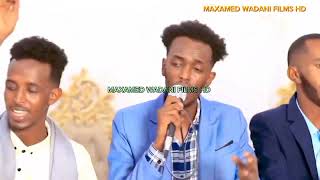 DHAANTO CUSUB SAGAL ALFANAAN JEELLE GALMUDUG [upl. by Nobie]