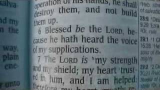 Psalm 28 King James Holy Bible [upl. by Soilisav]