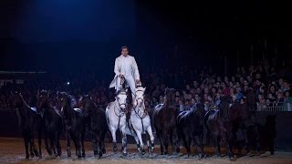 LORENZO INTERNATIONAL HORSE SHOW HD [upl. by Anitsyrk]