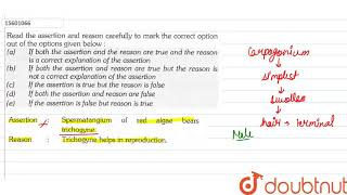 Assertion Spermatangium of red algae bears trichogyne ReasonTrichogyne  11  PLANT KINGDOM [upl. by Rhiamon643]