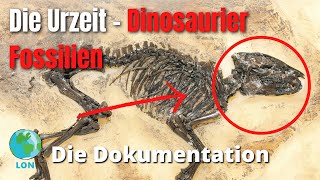 Die Urzeit  Fossilienfunde der Dinosaurier 2021  DEUTSCH  DOKU  DINOSAURIER [upl. by Falkner]