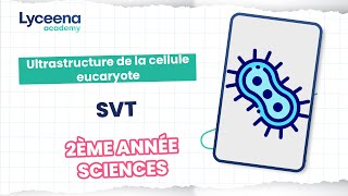 2ème année sciences  Sciences  Ultrastructure de la cellule [upl. by Toth]