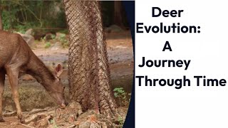 Unraveling the Antlers A Journey Through the Evolutionary History of Deer [upl. by Tiloine]