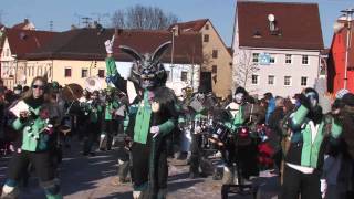 Narrentreffen Rottenburg 2013 [upl. by Euqinotna]