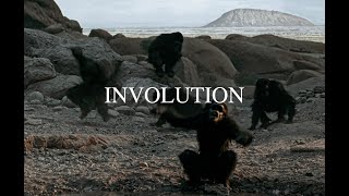 INVOLUTION FRENG [upl. by Rieth]