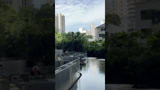 Serenity in Pan Pacific Orchard Hotel singapore [upl. by Odama]