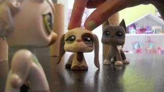 lps Rapunzel part 8  the lost princess [upl. by Thaddus]