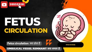 Fetal circulation in pediatics  Fetus circulation in hindi  Fetus circulation physiology [upl. by Ellie]