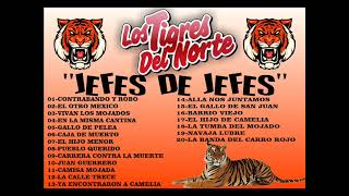 LOS TIGRES DEL NORTELOS JEFES DE JEFES [upl. by Tnecnivleahcim]